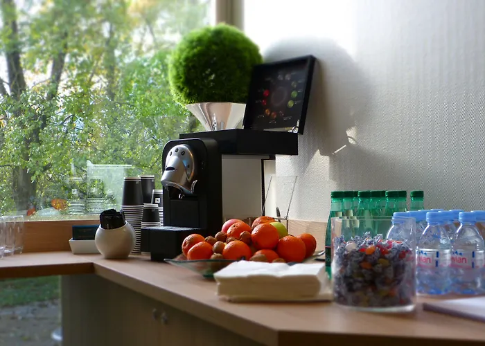 Mercure Grenoble 4*